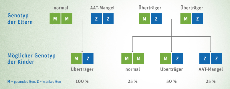 Vererbungsschema des Alpha-1-Antitrypsin-Mangels